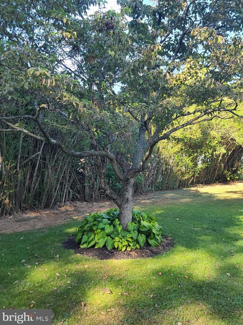 151 Old Burlington Rd, Stow Creek Twp NJ  08302-5914 exterior