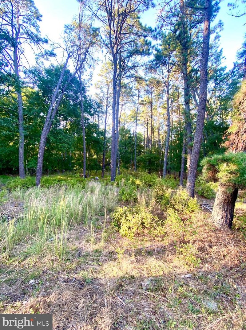 826 Plymouth Dr, Waterford Township NJ exterior