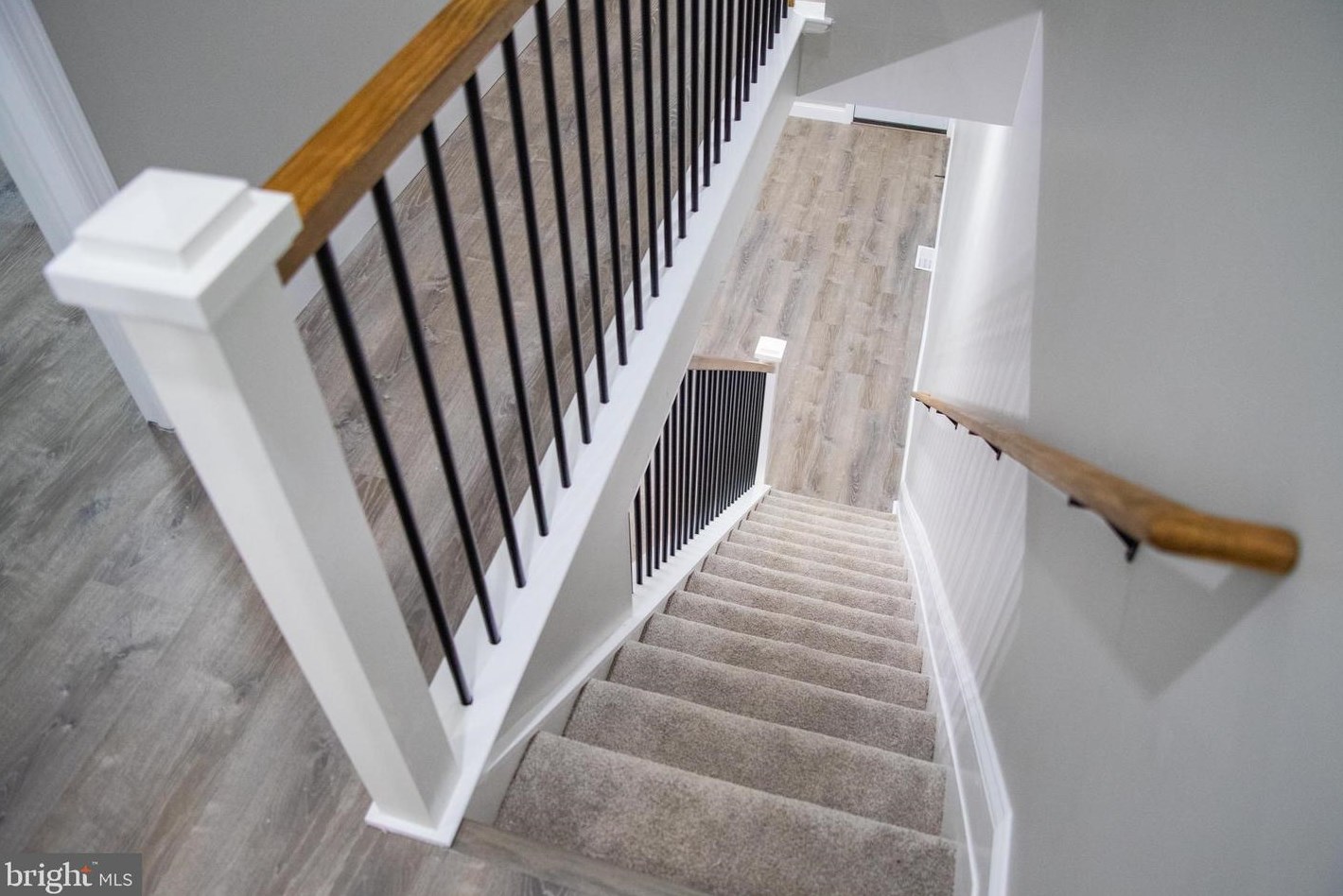 1229 Carl Miller Blvd, Camden NJ  08104-3531 exterior