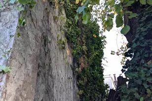 341 Marlton Ave, Camden, NJ 08105 - Photo 2