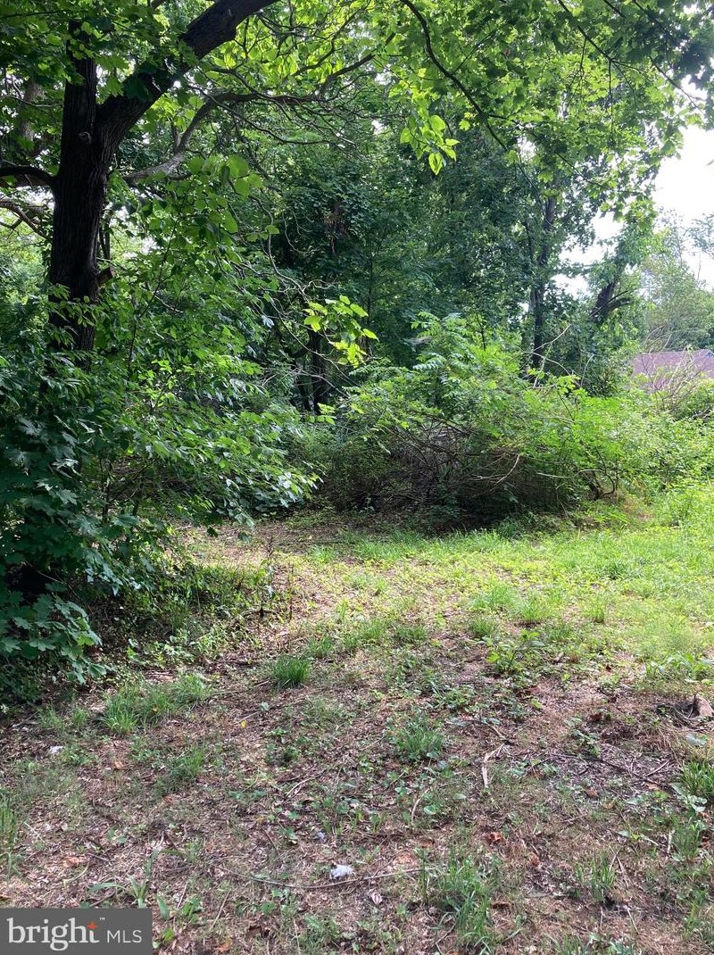 341 Washington Ave, Belleplain, NJ 08270