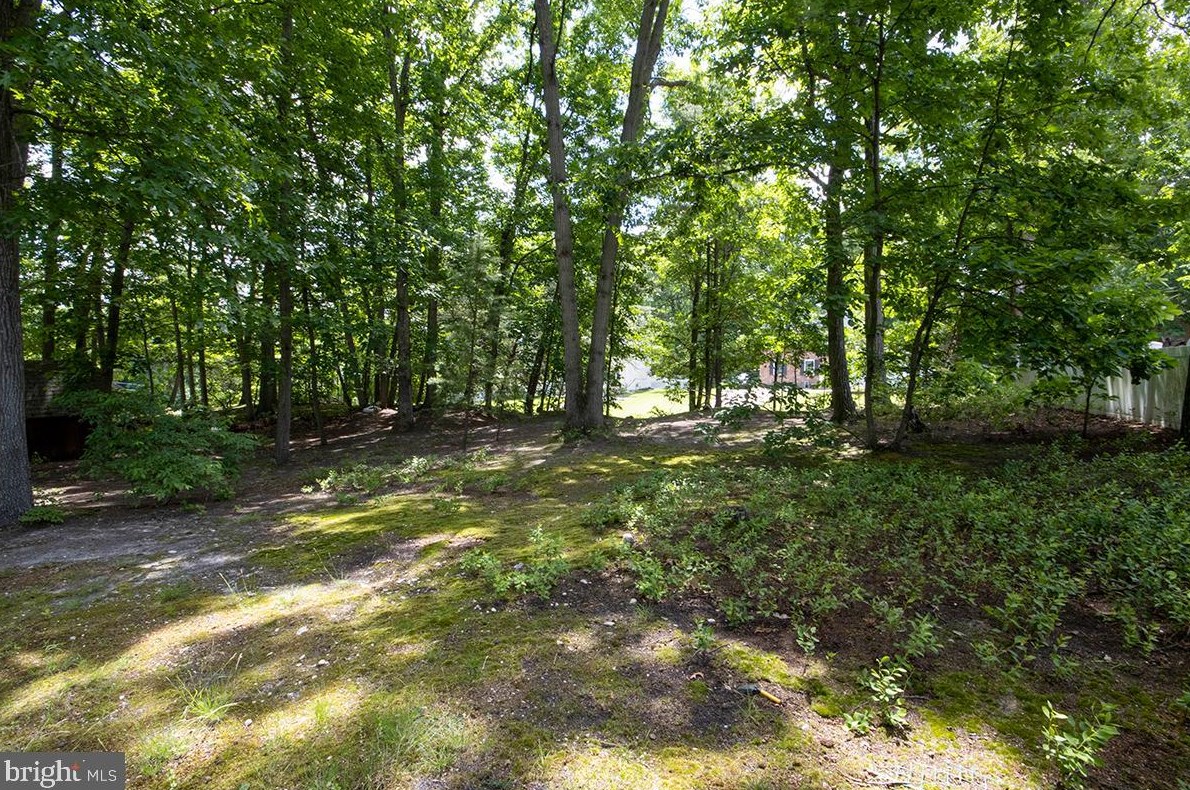 831 Canal St, Blenheim NJ 08012-1033 exterior