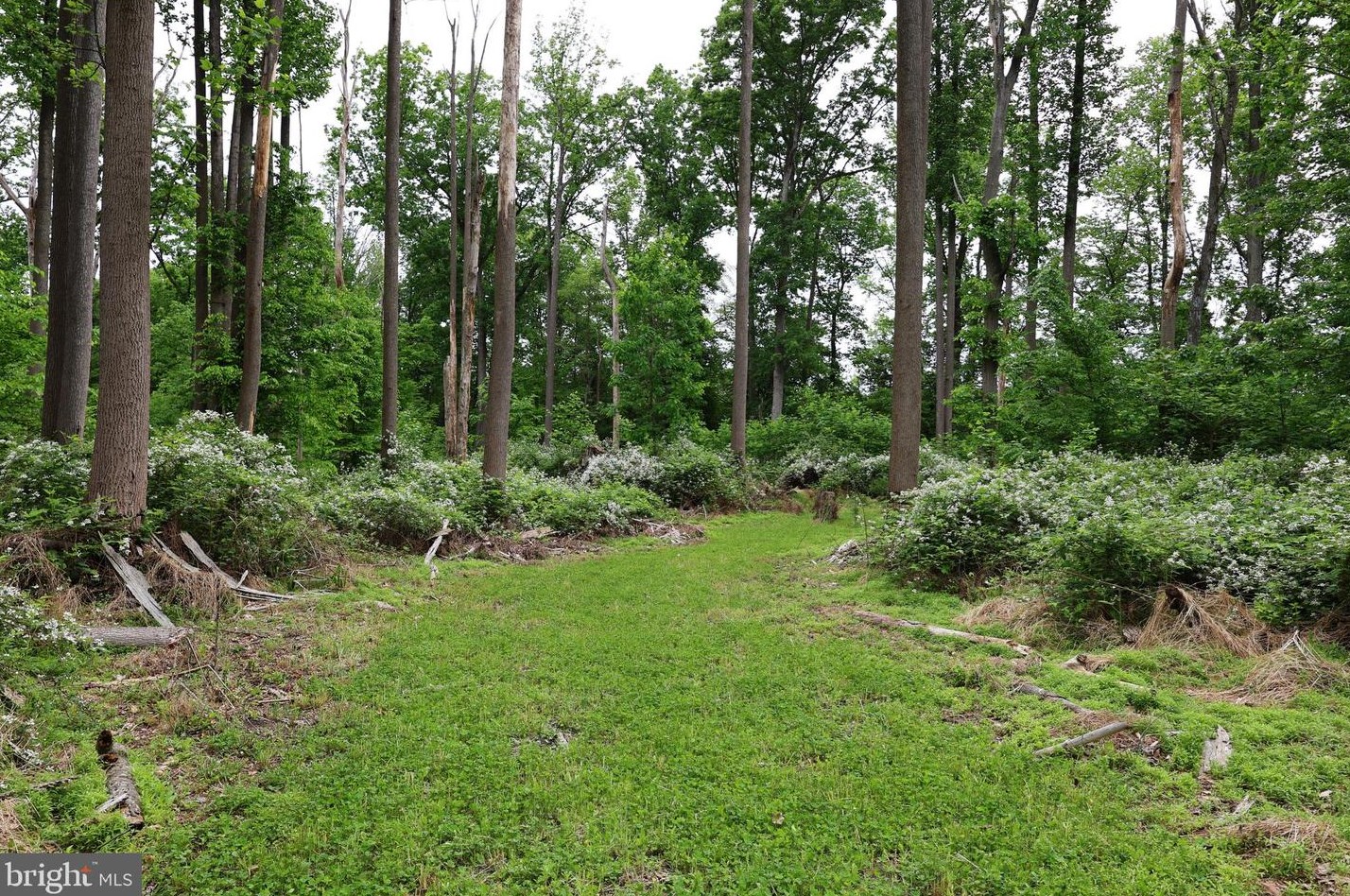 15 Commissioners Pike, Pilesgrove NJ 08098-2033 exterior