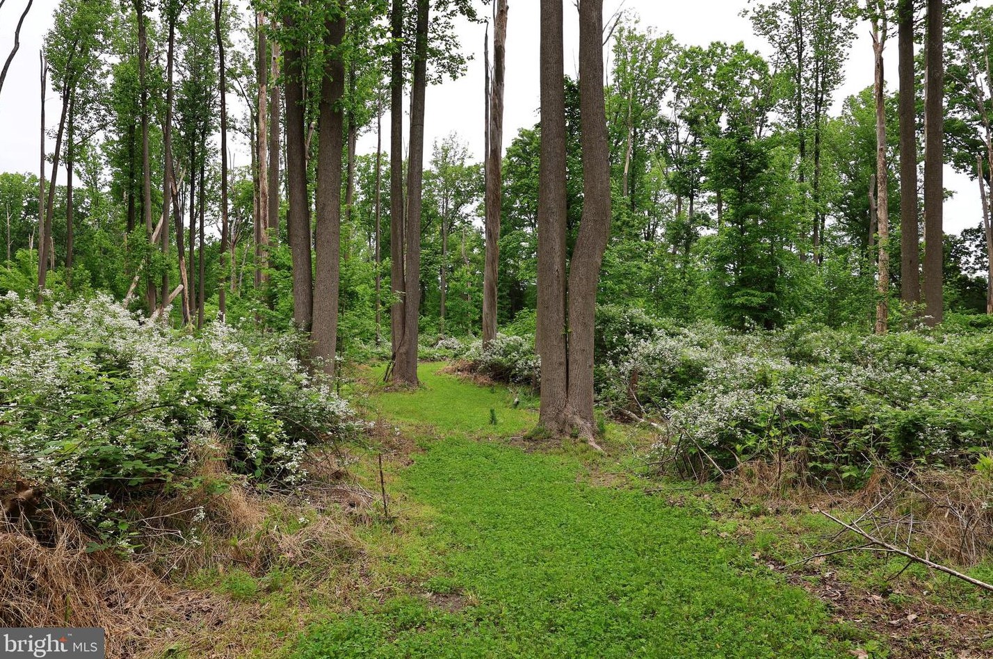 15 Commissioners Pike, Pilesgrove NJ 08098-2033 exterior