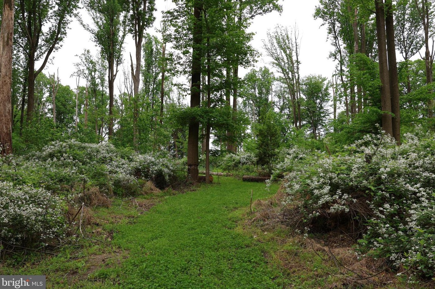 15 Commissioners Pike, Pilesgrove NJ 08098-2033 exterior