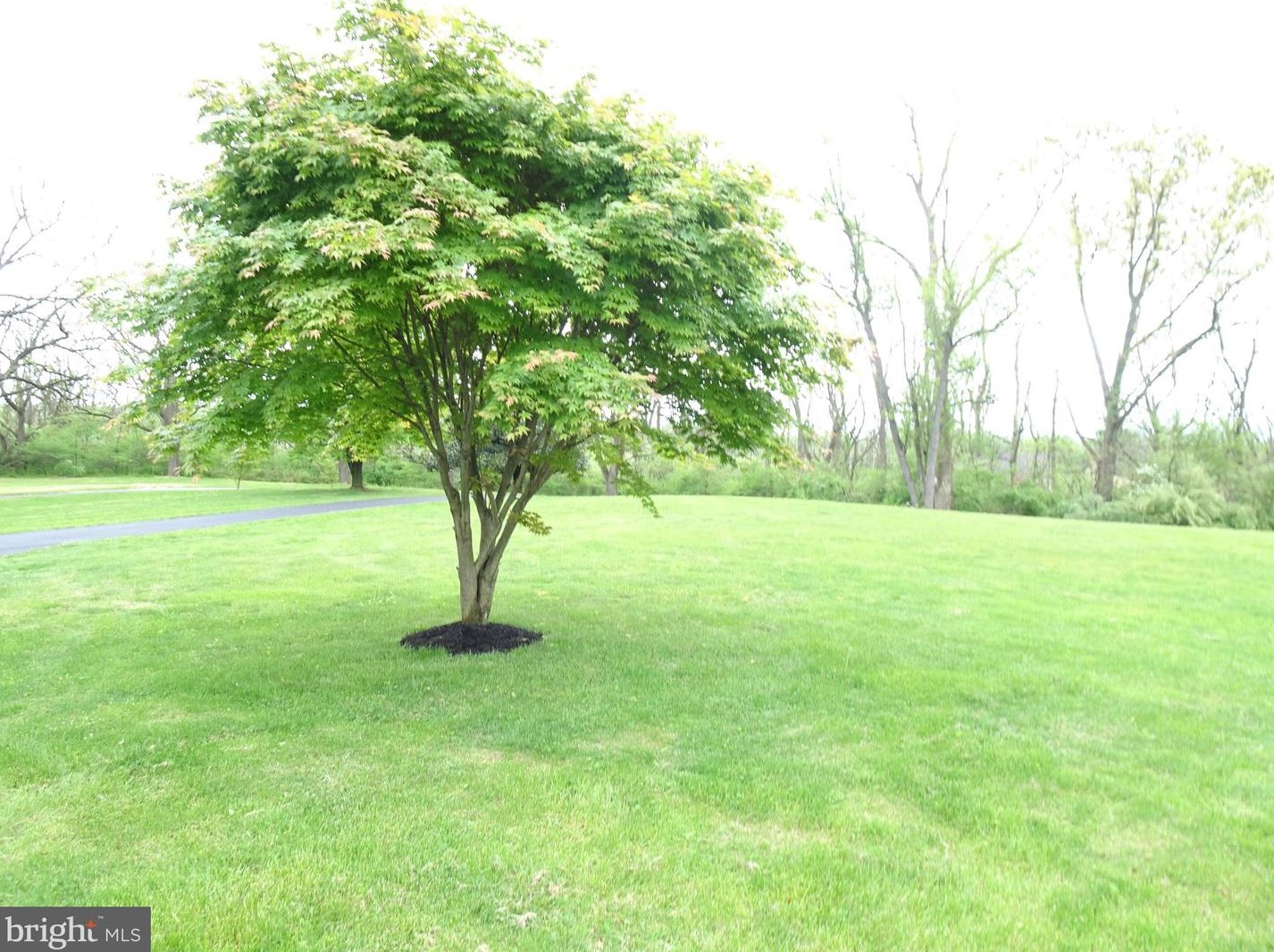 20 Raker Dr, Douglassville PA  19518-8849 exterior