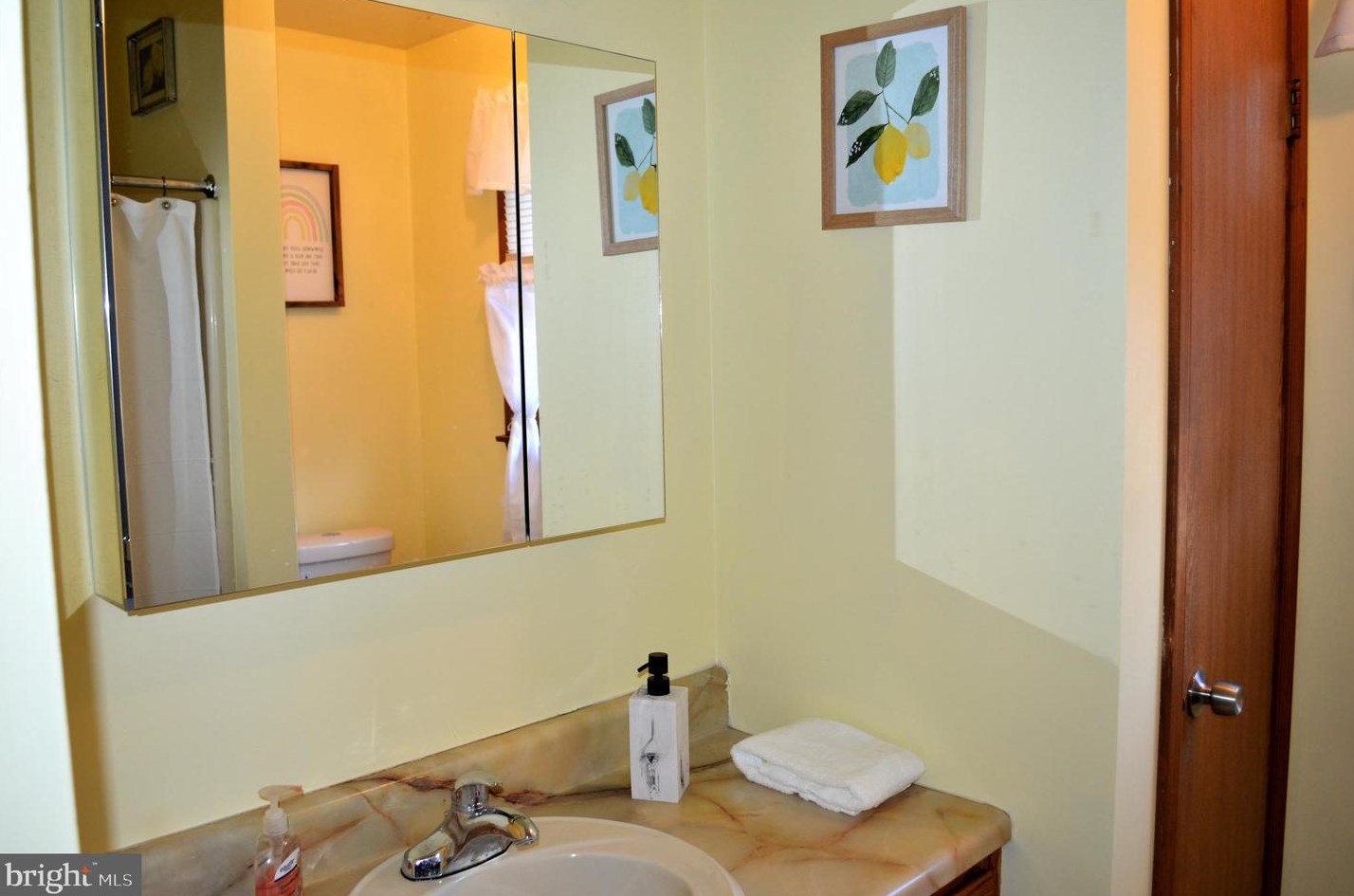 235 Forest View Dr, Greenwich PA  19530-9036 exterior