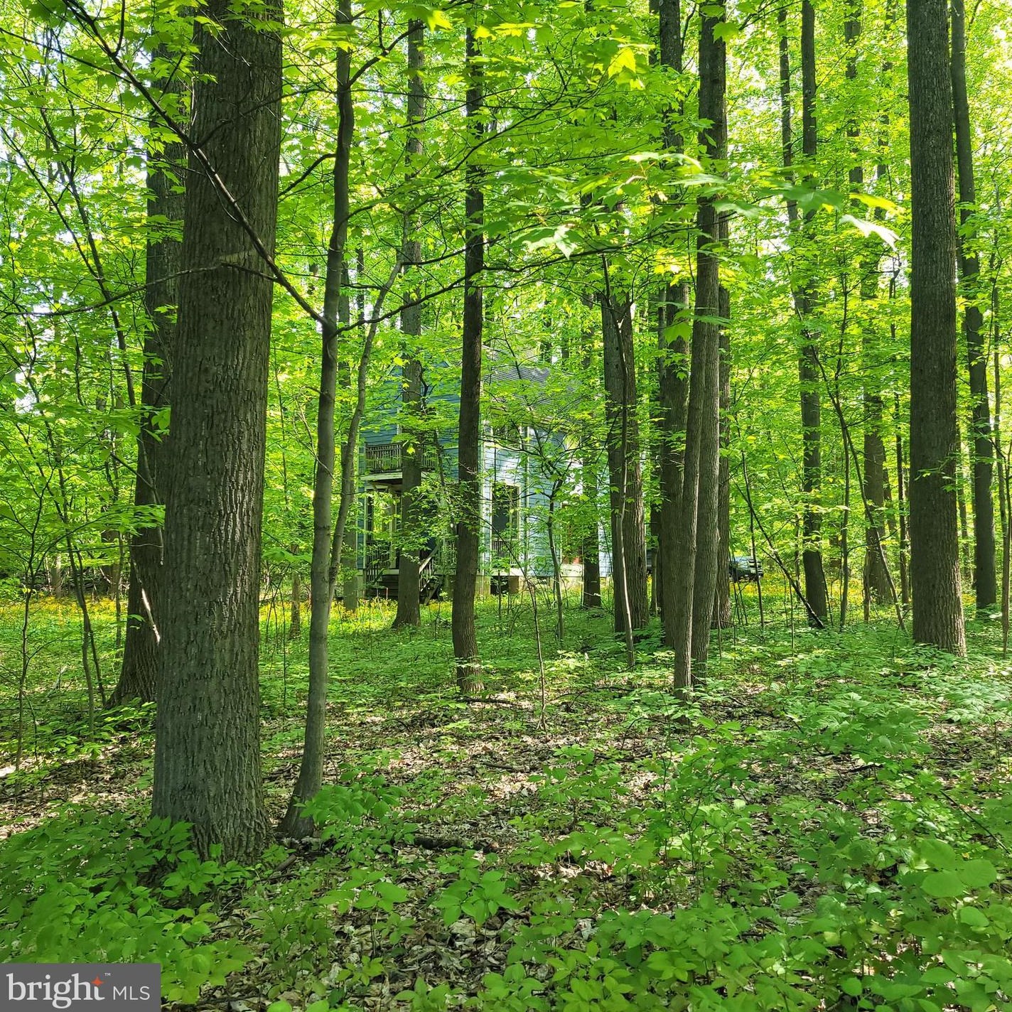 153 Mountain Mary Rd, Spangsville PA  19512-7820 exterior