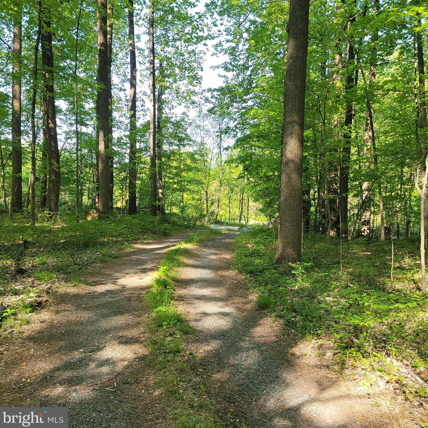 153 Mountain Mary Rd, Spangsville PA  19512-7820 exterior