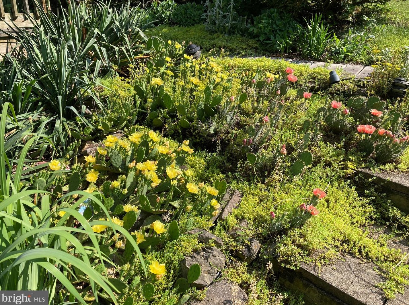 29 Ginna B Dr, Robesonia PA 19551-9670 exterior