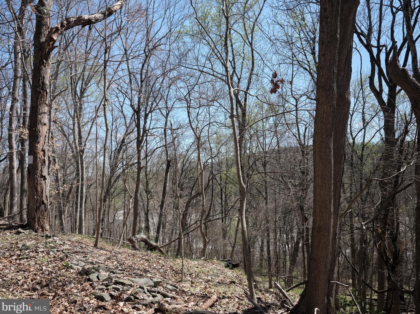 3774 Windy Bush Rd, New Hope, PA 18938