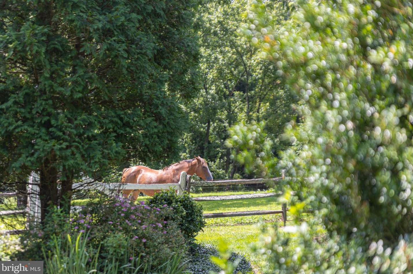 62 Thompson Ml Rd, Upper Makefield PA 18940-9627 exterior