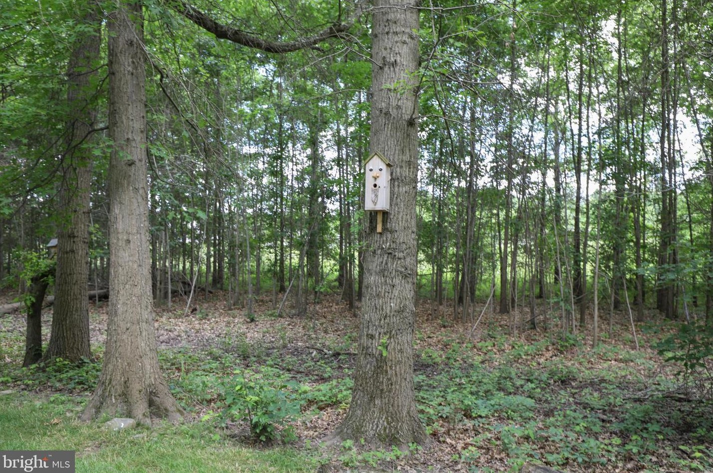 1138 Arbour Ln, Quakertown PA 18951-2861 exterior