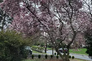 409 N Pine St, Langhorne, PA 19047 - Photo 28