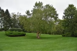 339 Fieldstone Dr, New Hope, PA 18938 - Photo 26