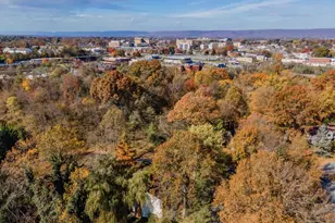 919 Woodland Dr, Lemoyne, PA 17043 - Photo 62