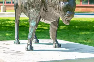 51 Bennington Wy, Carlisle, PA 17013 - Photo 32