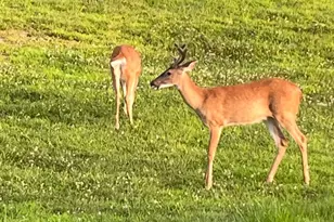 984 Pine Rd, Carlisle, PA 17015 - Photo 56