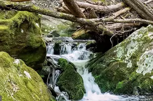 207 Saw Mill Rd, Weatherly, PA 18255 - Photo 40