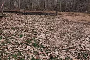 2111 Nosirrah Rd, Albrightsville, PA 18210 - Photo 1