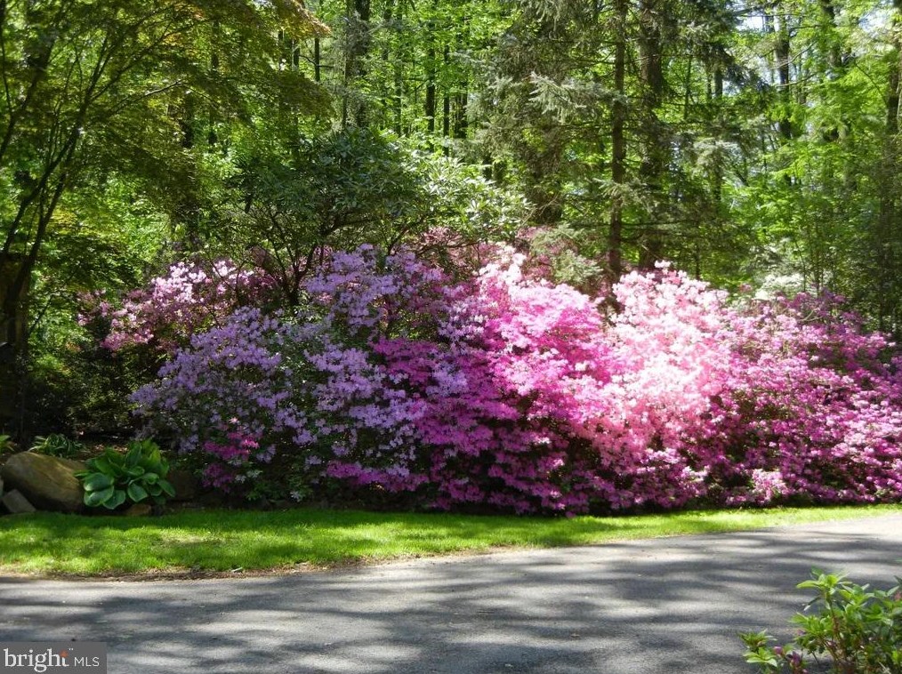 423 Rock Run Rd, Pottstown, PA 19465-8819