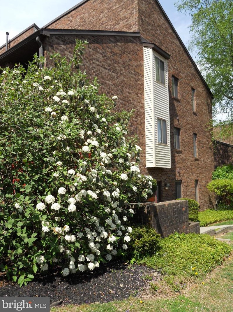 1009 Mountainview Dr, Wayne, PA