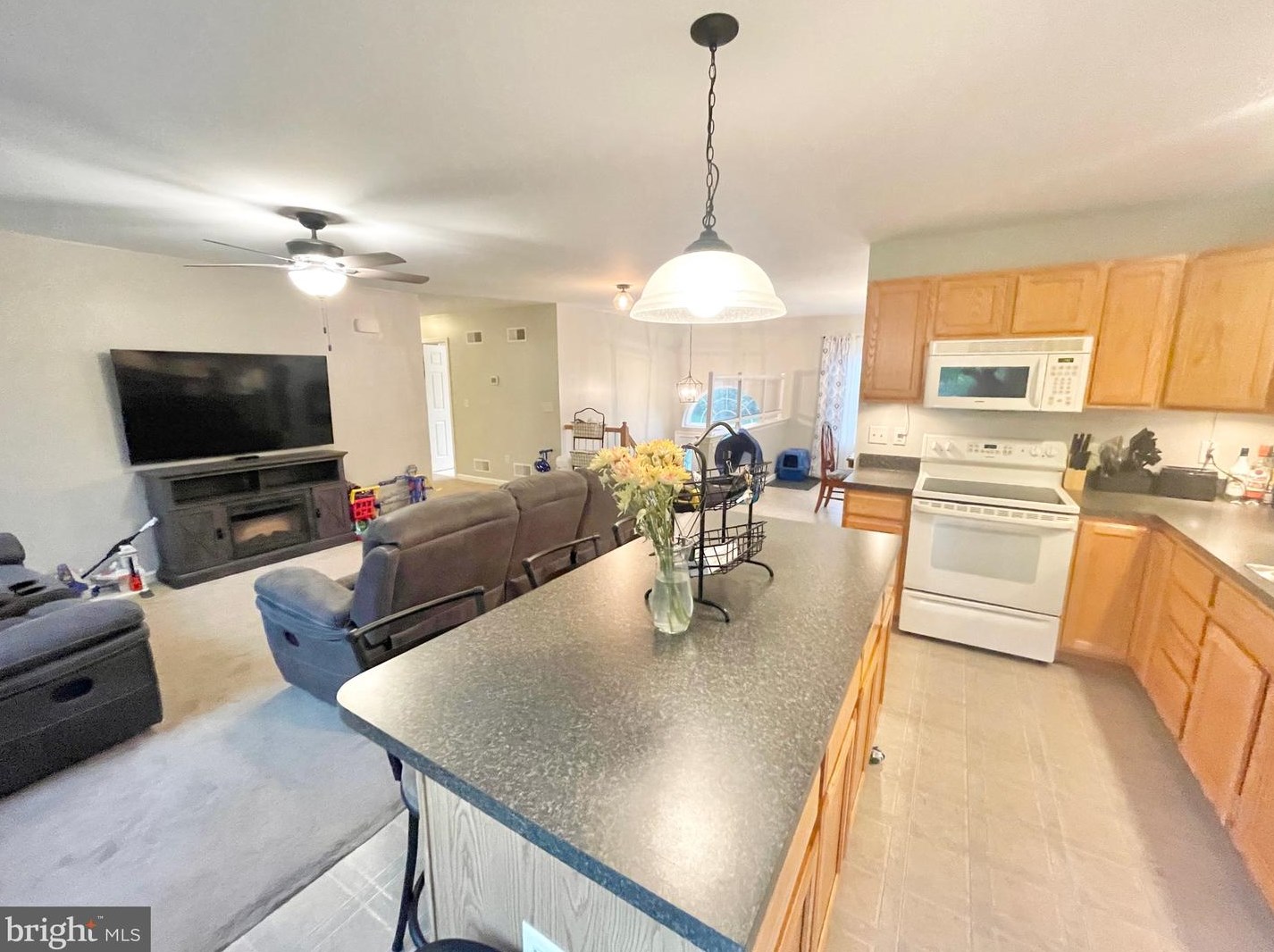 10 Edin Ln, Romansville, PA 19320-5718