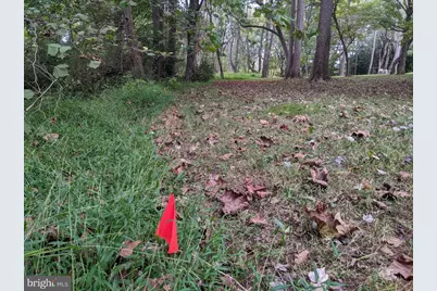 101 Burnt Mill Circle #1B, Chadds Ford, PA 19317 - Photo 32