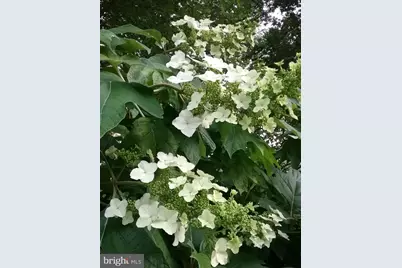 2 Farron Drive, Chadds Ford, PA 19317 - Photo 76