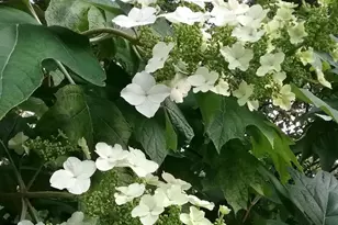 2 Farron Dr, Chadds Ford, PA 19317 - Photo 76