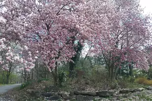 2 Farron Dr, Chadds Ford, PA 19317 - Photo 68