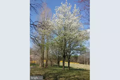 2 Farron Drive, Chadds Ford, PA 19317 - Photo 80