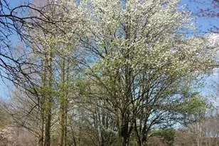 2 Farron Dr, Chadds Ford, PA 19317 - Photo 80