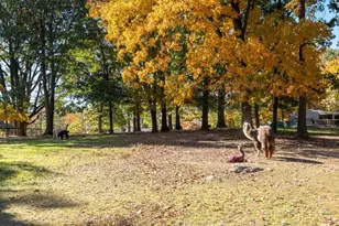 1623 Hilltop Rd, Birchrunville, PA 19421 - Photo 70