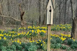 904 Roundelay Ln, West Chester, PA 19382 - Photo 50