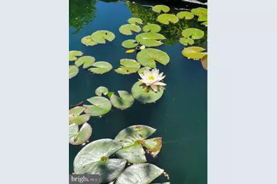 219 Delaware Avenue, Oxford, PA 19363 - Photo 52