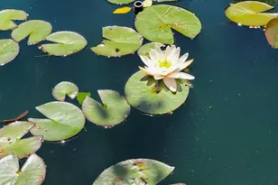 219 Delaware Ave, Oxford, PA 19363 - Photo 52