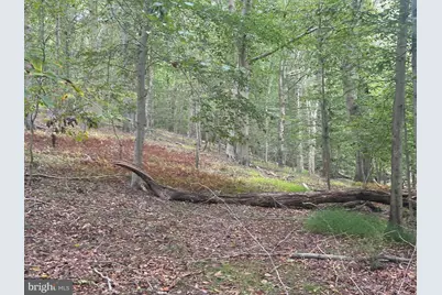 547 Webb Rd - Md, Chadds Ford, PA 19317 - Photo 44