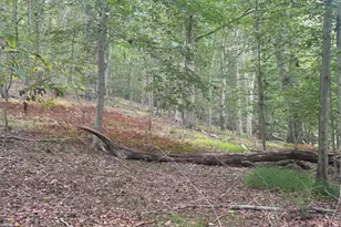 547 Webb Rd -Dd, Chadds Ford, PA 19317 - Photo 98