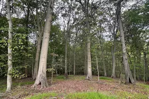 547 Webb Rd -Dd, Chadds Ford, PA 19317 - Photo 96