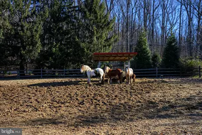 201 Pine Swamp Road, Elverson, PA 19520 - Photo 50