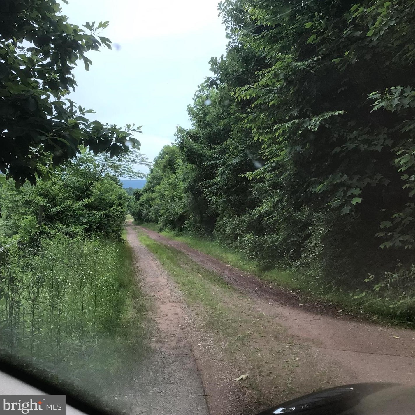 62 Millwood Dr, Powells Vly, PA 17032-8920