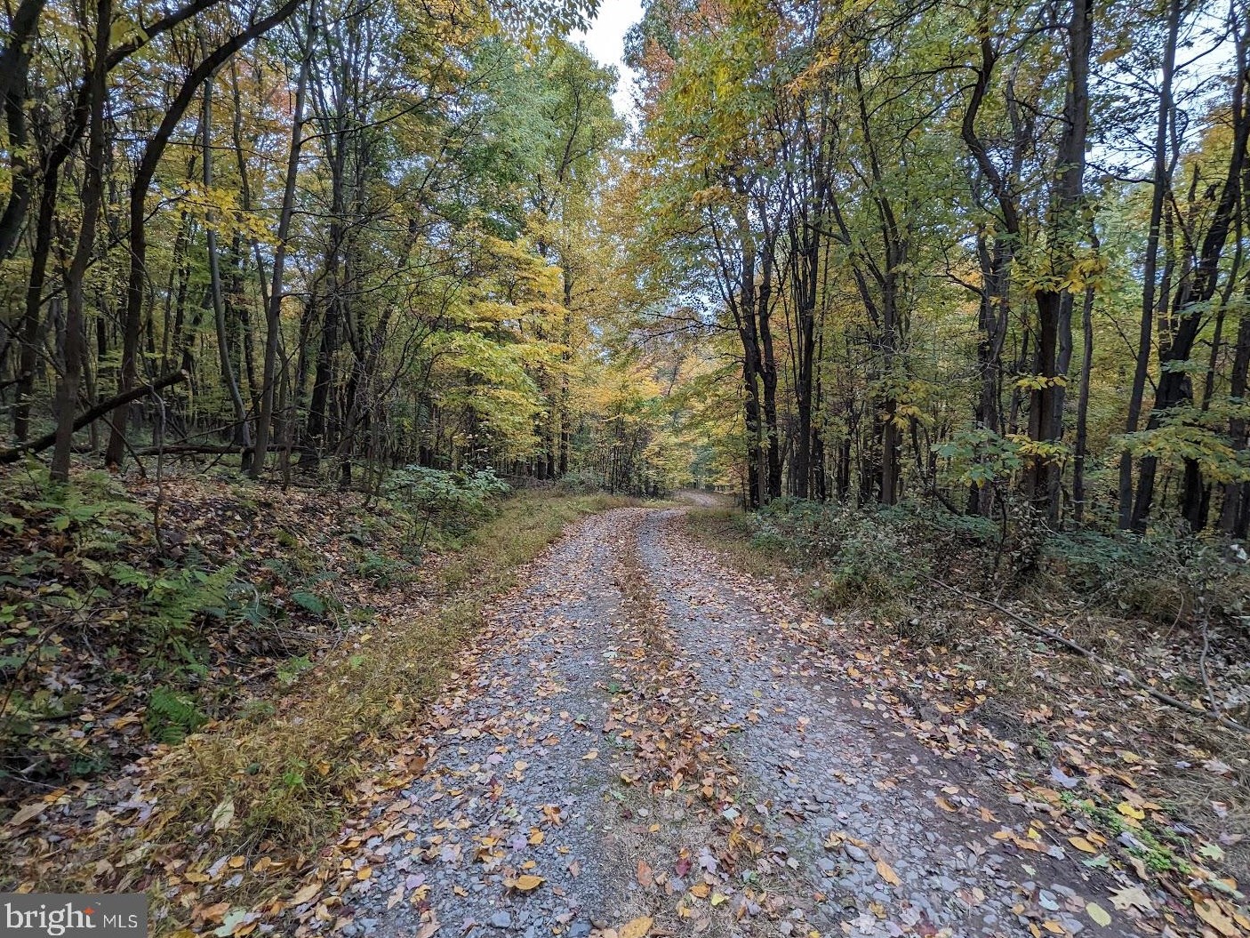 547 Dividing Ridge Rd, Powells Vly, PA 17032-8809