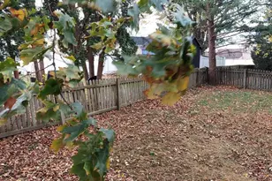 2009 Laurel Glen Dr, Harrisburg, PA 17110 - Photo 12