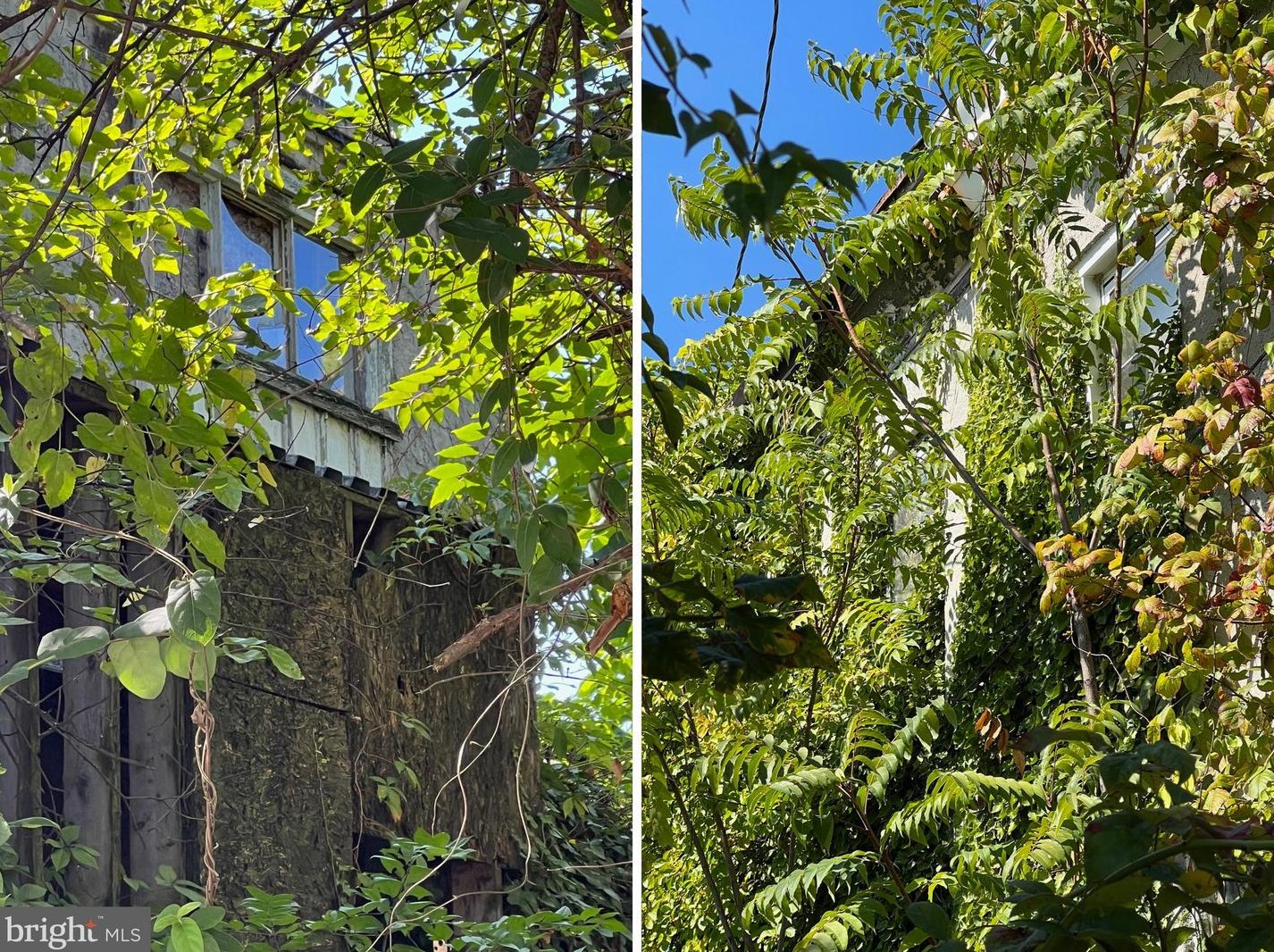 302 Woodrow St, Chester PA  19013-4025 exterior