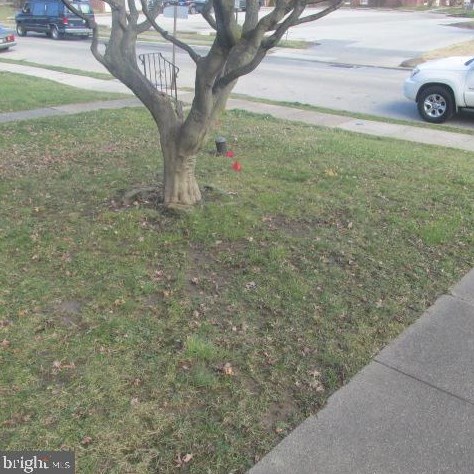 361 Cedar Ave, Holmes, PA 19043