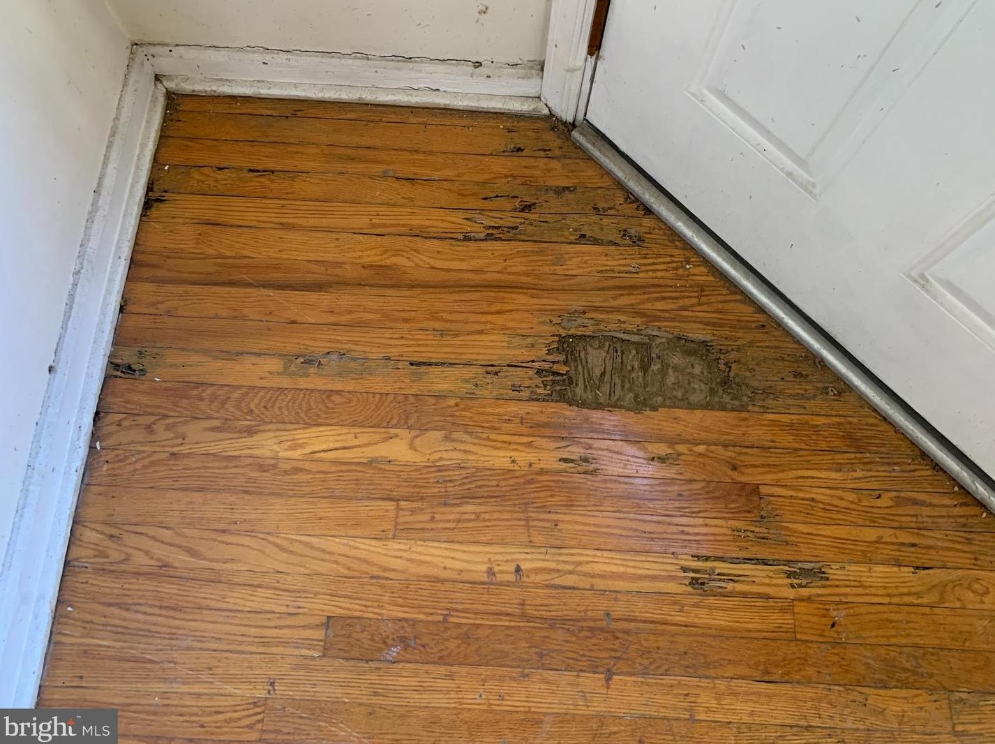 205 Glendale Rd, Upper Darby, PA 19082-4017