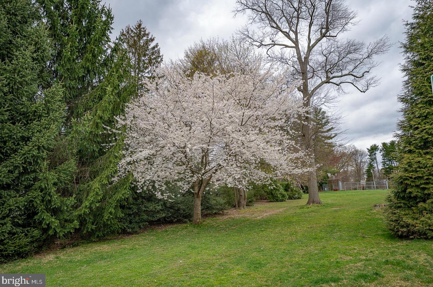 700 Ardmore Ave, Ardmore PA  19003-1132 exterior