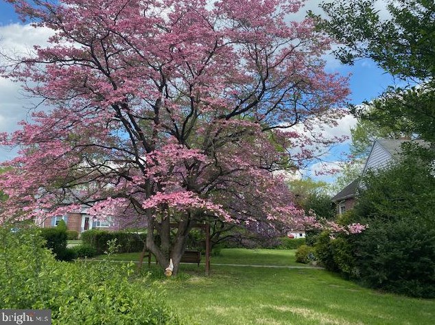 924 Village Rd, Folsom, PA 19033