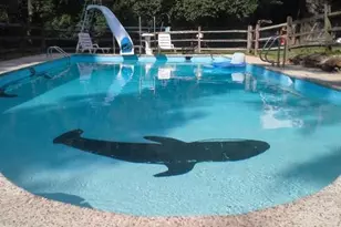 193 Middletown Rd, Media, PA 19063 - Photo 4